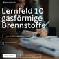 Lernfeld 10 - Anlagenmechaniker - Lernzettel & Inhalte